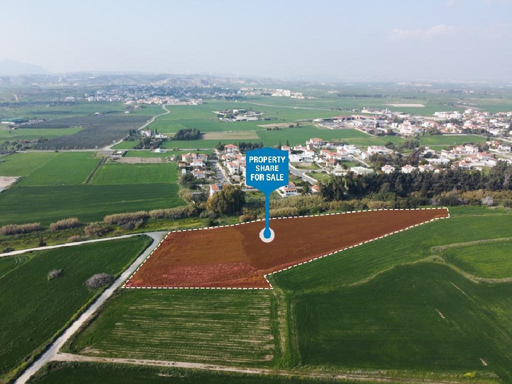 Field-Kiti-PR37503