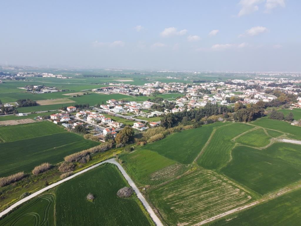 Field-Kiti-PR37503