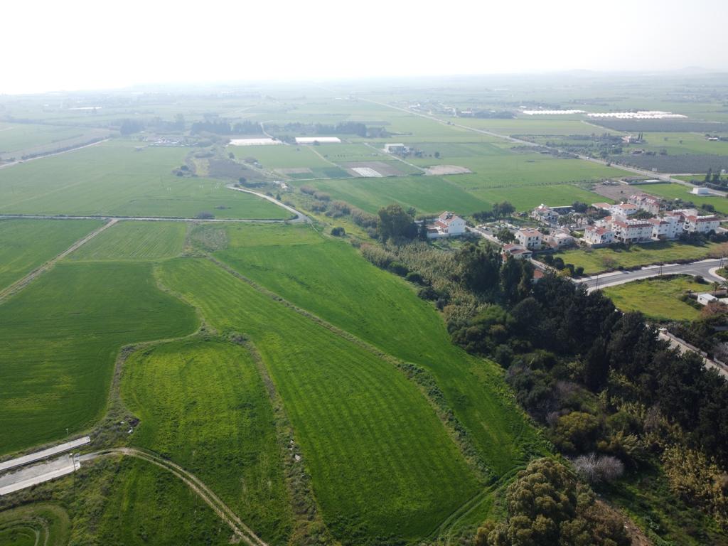 Field-Kiti-PR37503