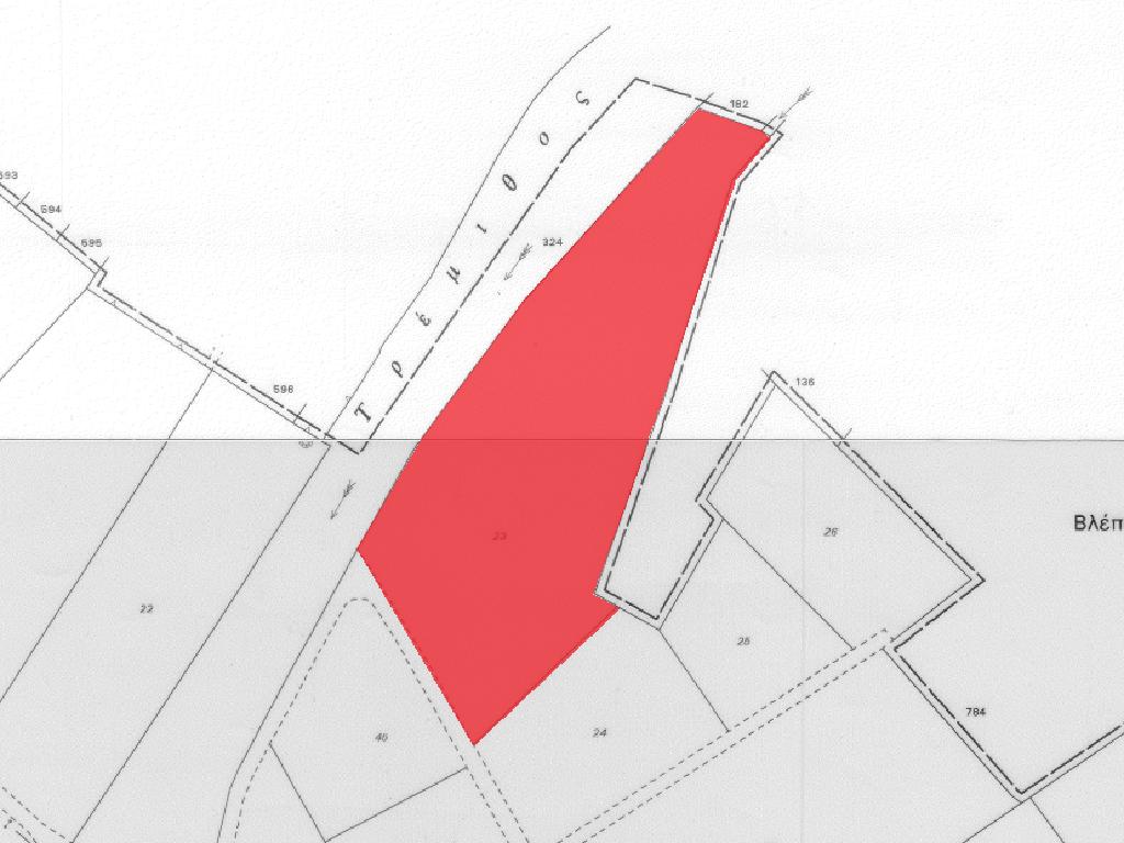 Field-Kiti-PR37503