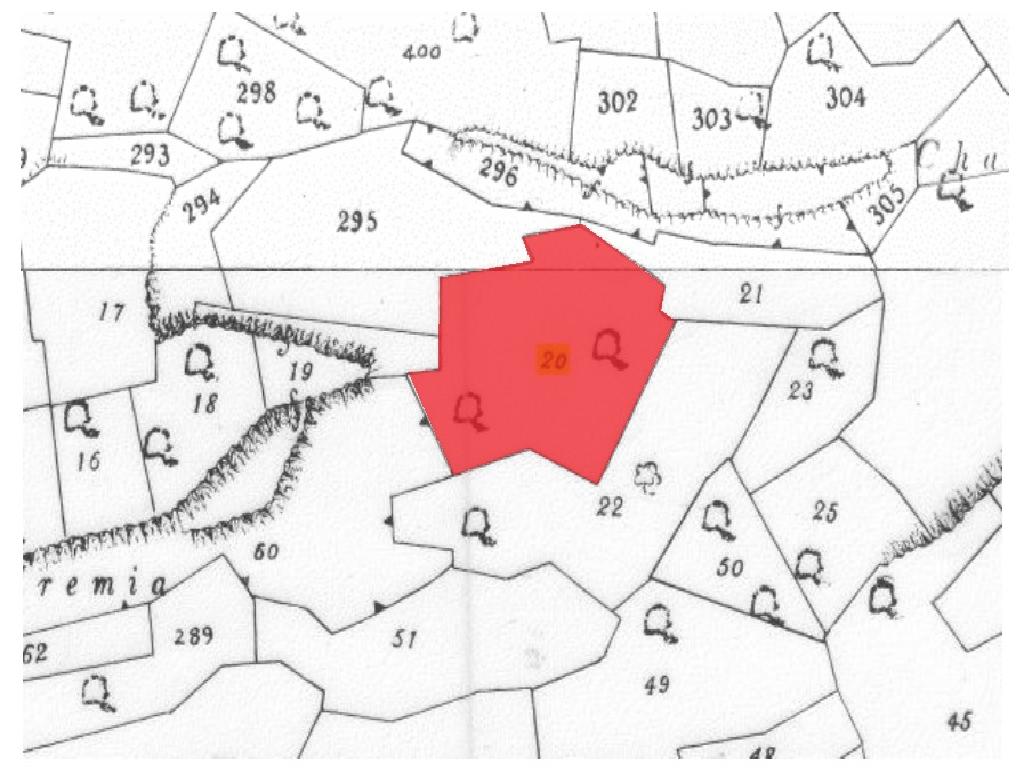 Field-Agios Theodoros-PR34731