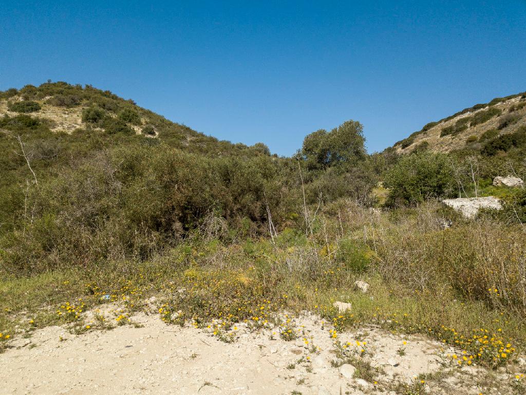 Field-Agios Theodoros-PR34731