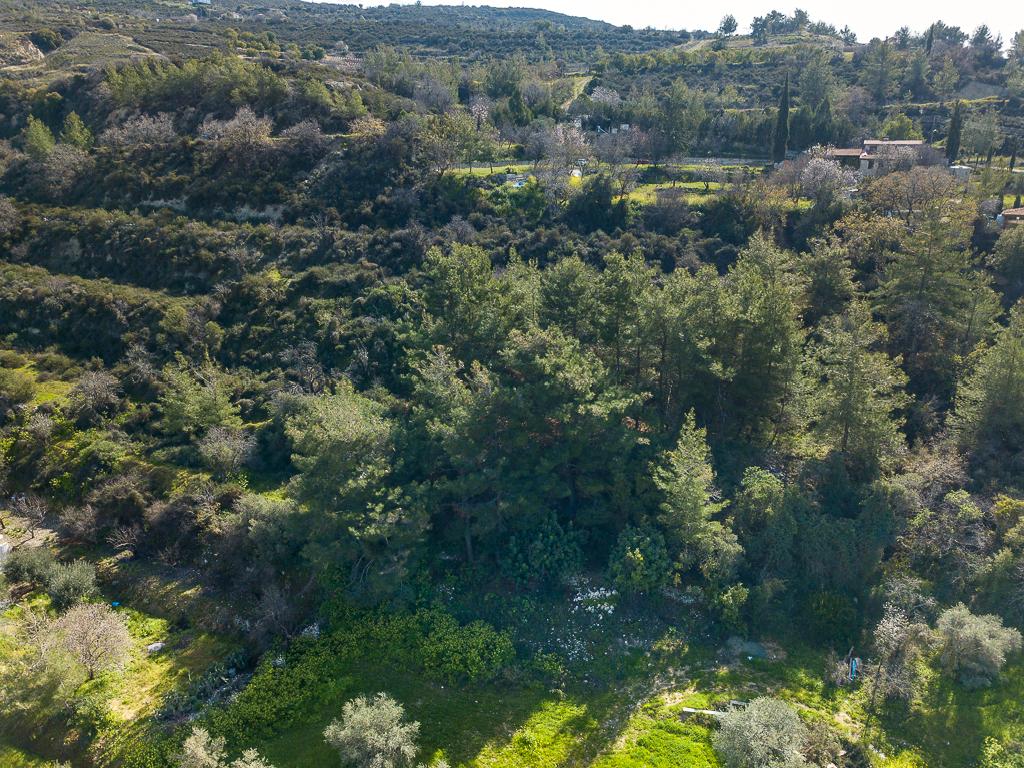 Field-Laneia-PR38369
