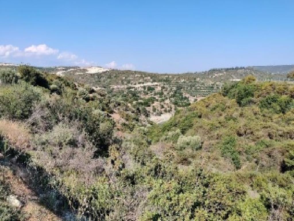 Field-Agios Therapon-PR38603