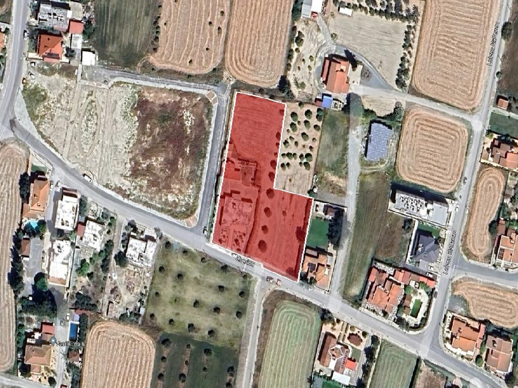 Field-Dali-PR39394