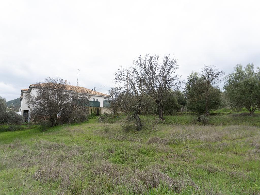 Field-Kalo Chorio (Oreinis)-PR39529