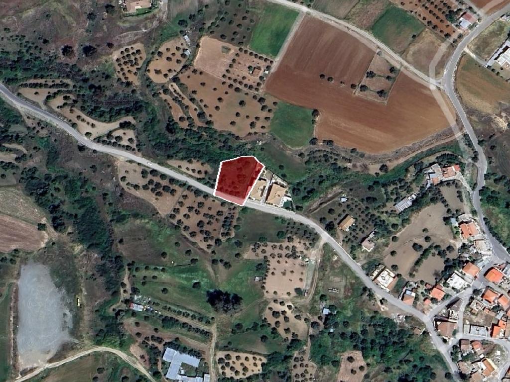 Field-Kalo Chorio (Oreinis)-PR39529