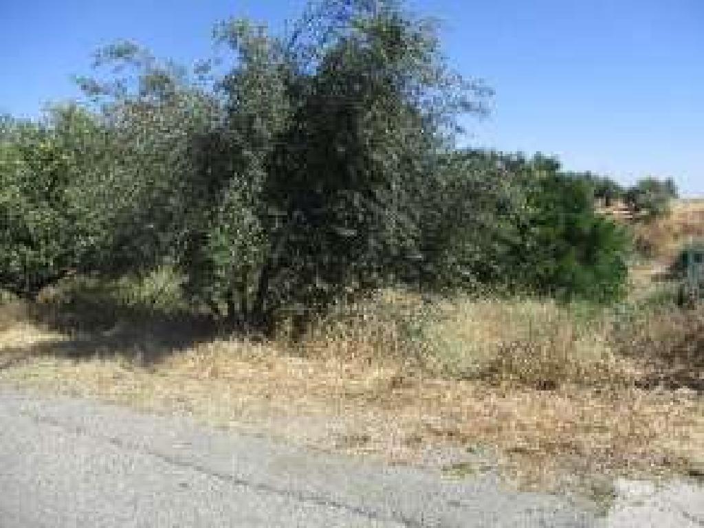 Field-Kalo Chorio (Oreinis)-PR39529