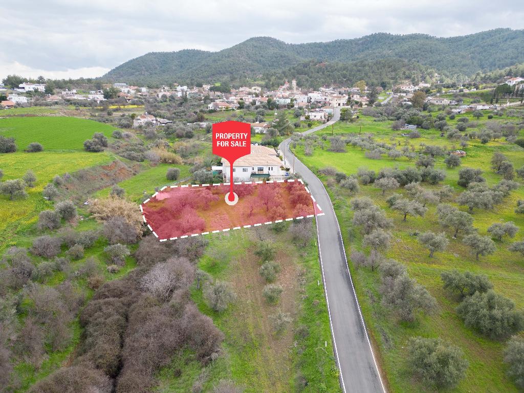 Field-Kalo Chorio (Oreinis)-PR39529