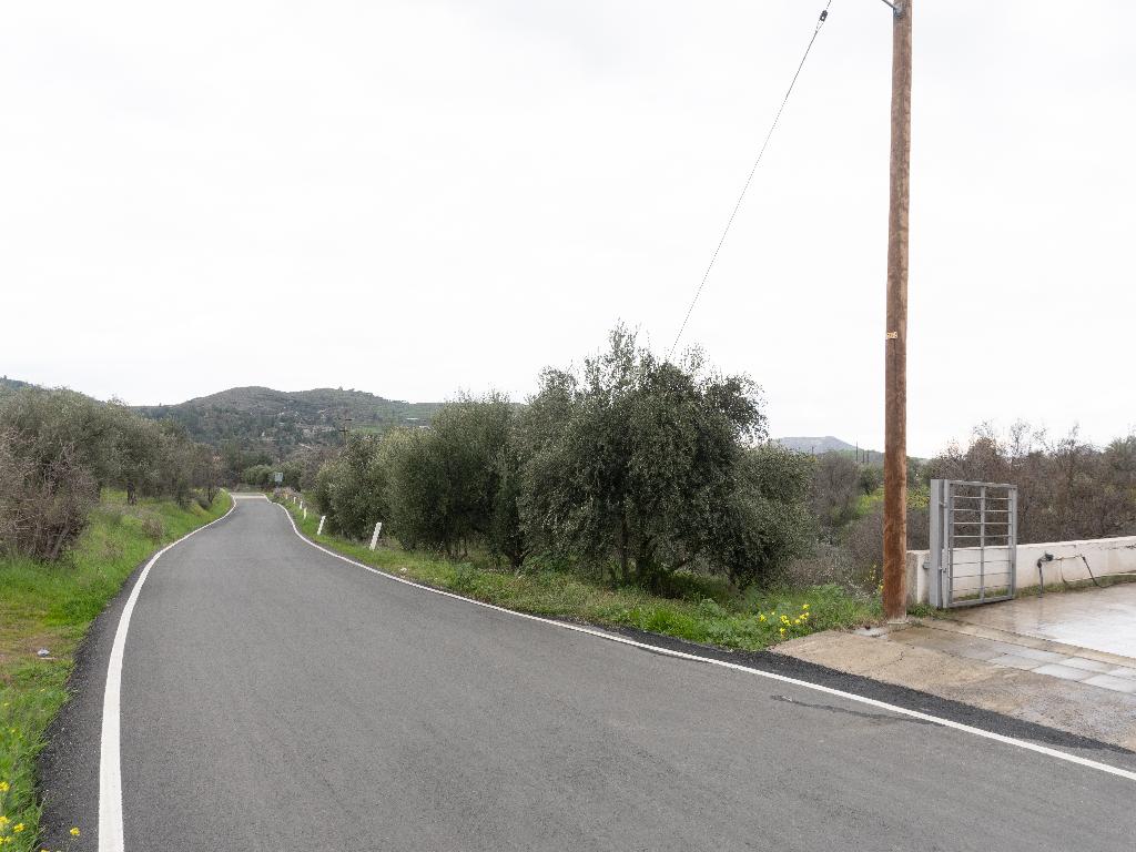 Field-Kalo Chorio (Oreinis)-PR39529