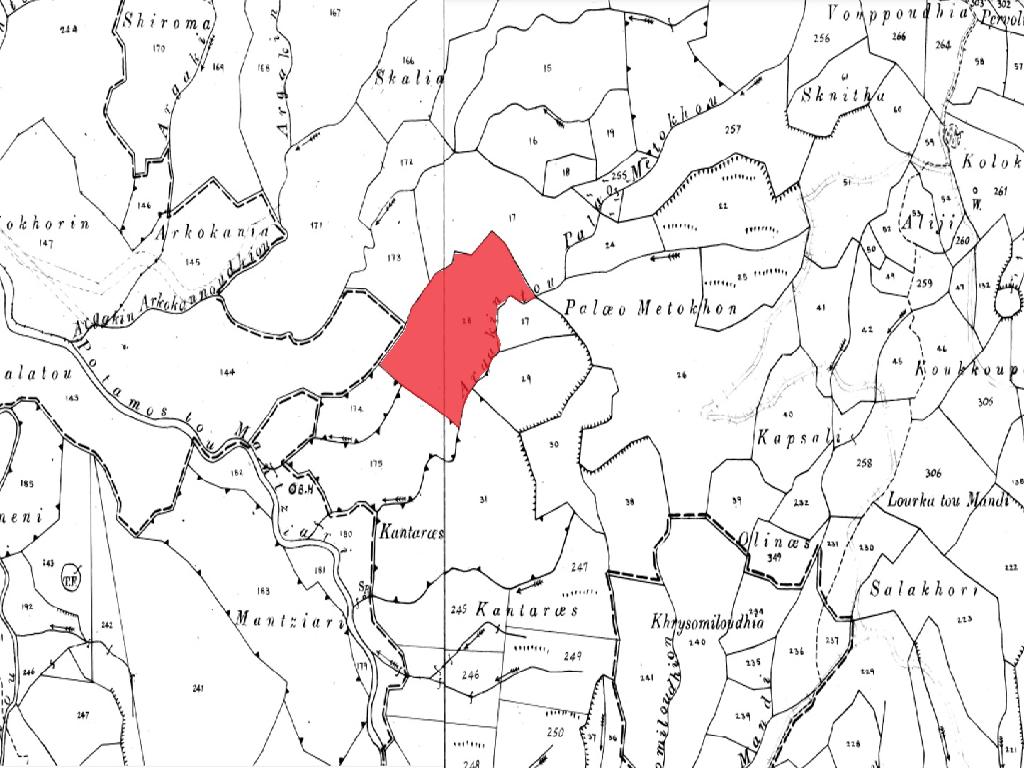 Field-Kynousa-PR39874