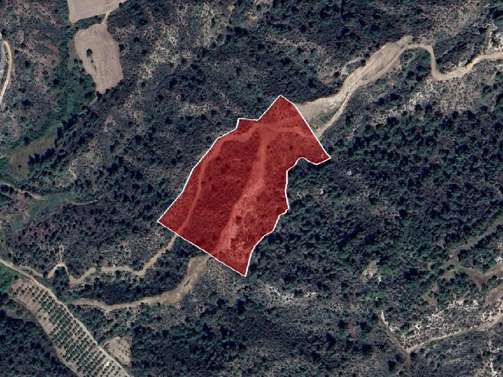 Field-Kynousa-PR39874
