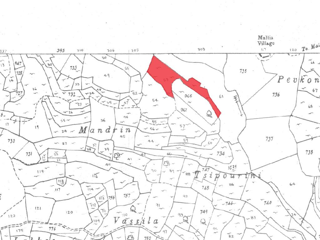Field-Dora-PR40273