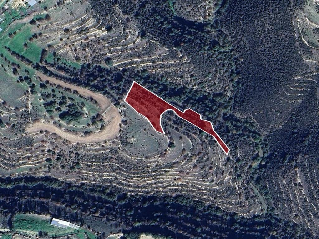 Field-Dora-PR40273