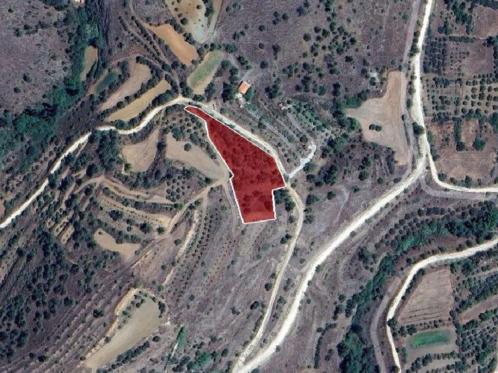 Field-Xsyliatos-PR40354