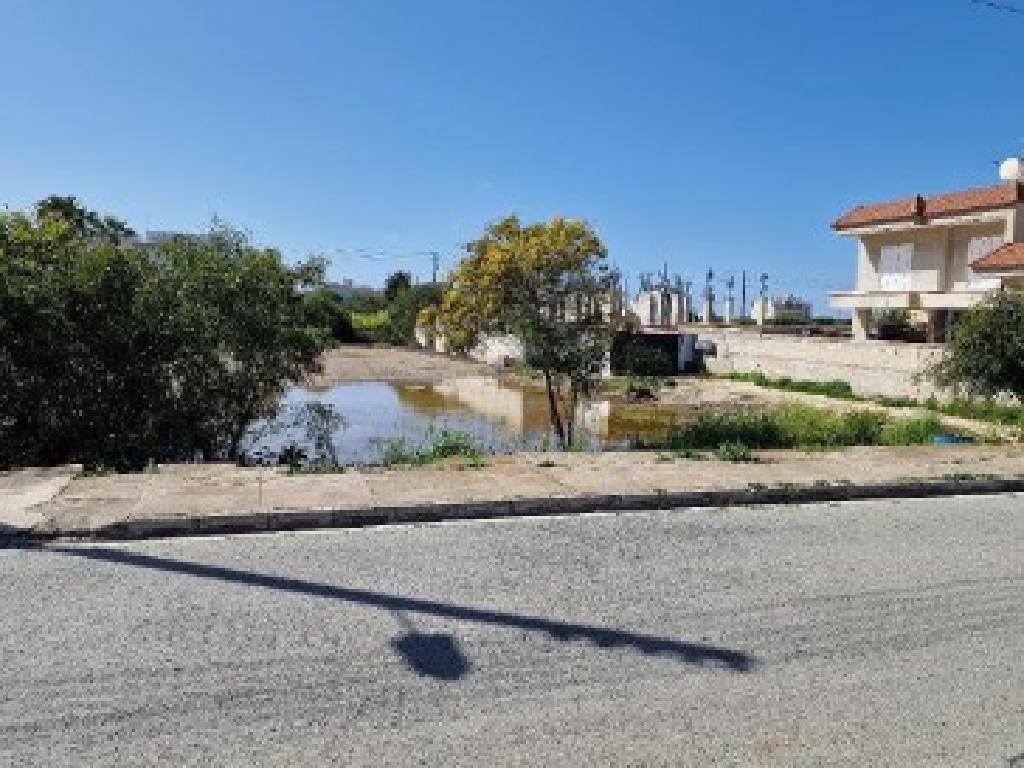 Plot-Paralimni-PR40737