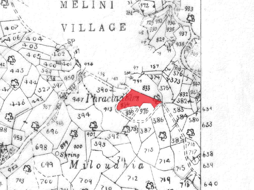 Field (Share) - Melini Larnaca