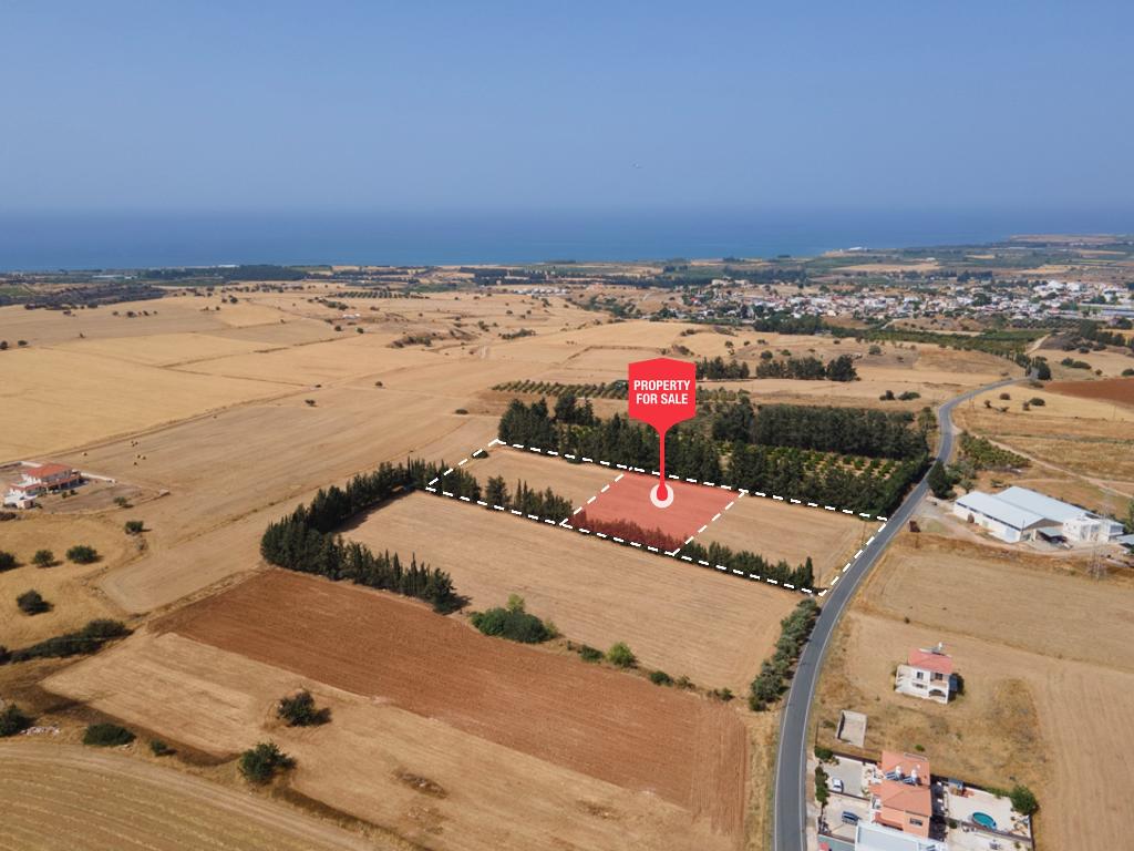 Field-Kouklia-PR41895