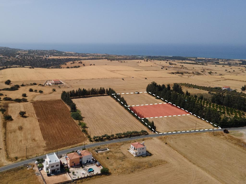 Field-Kouklia-PR41895