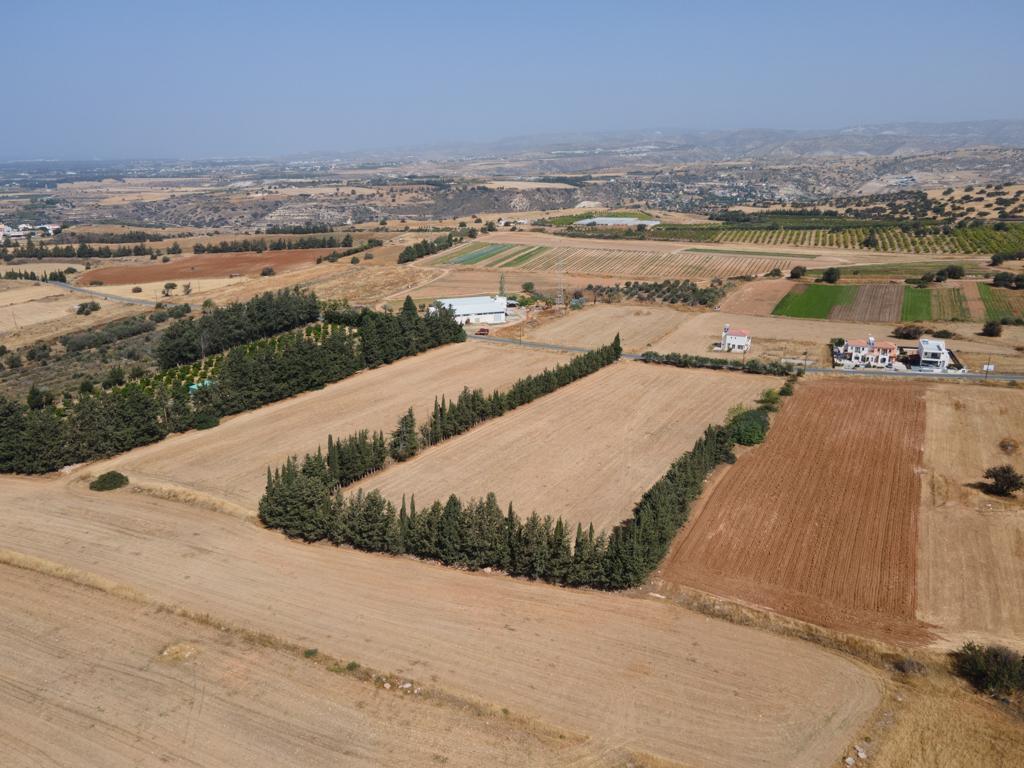 Field-Kouklia-PR41895