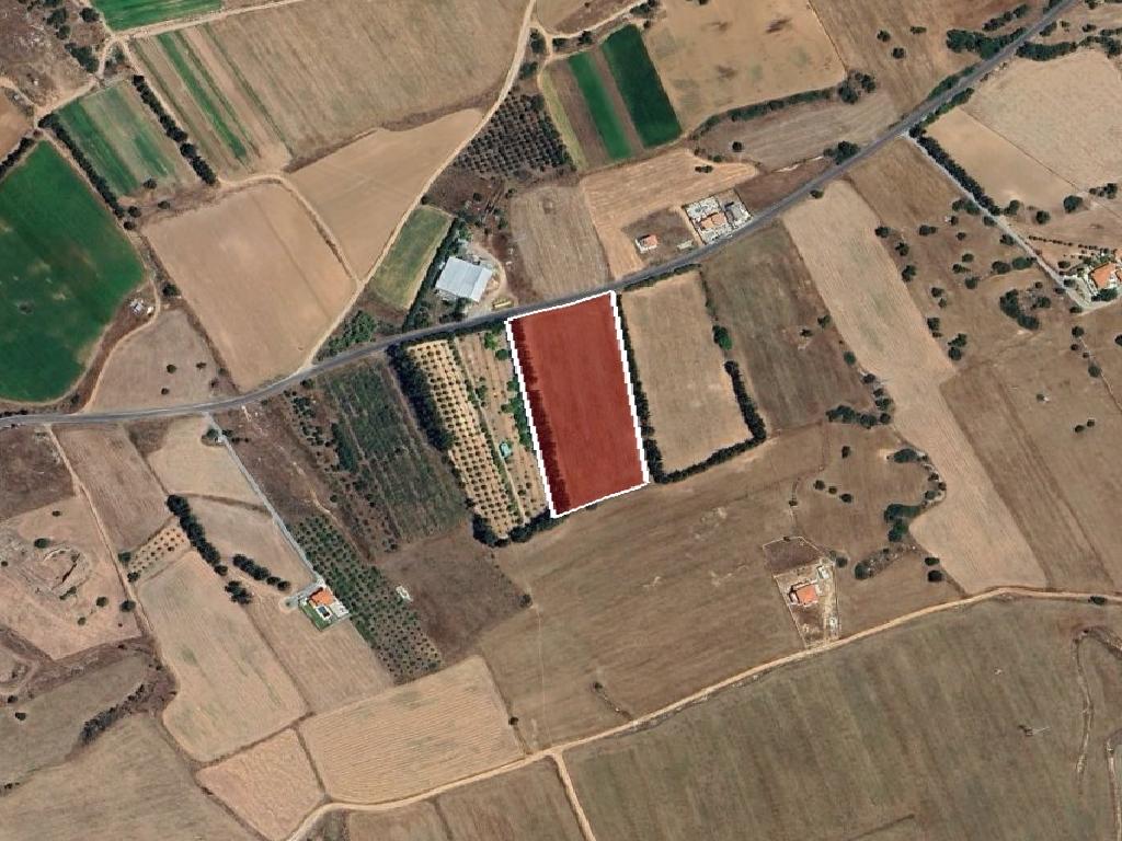 Field-Kouklia-PR41895