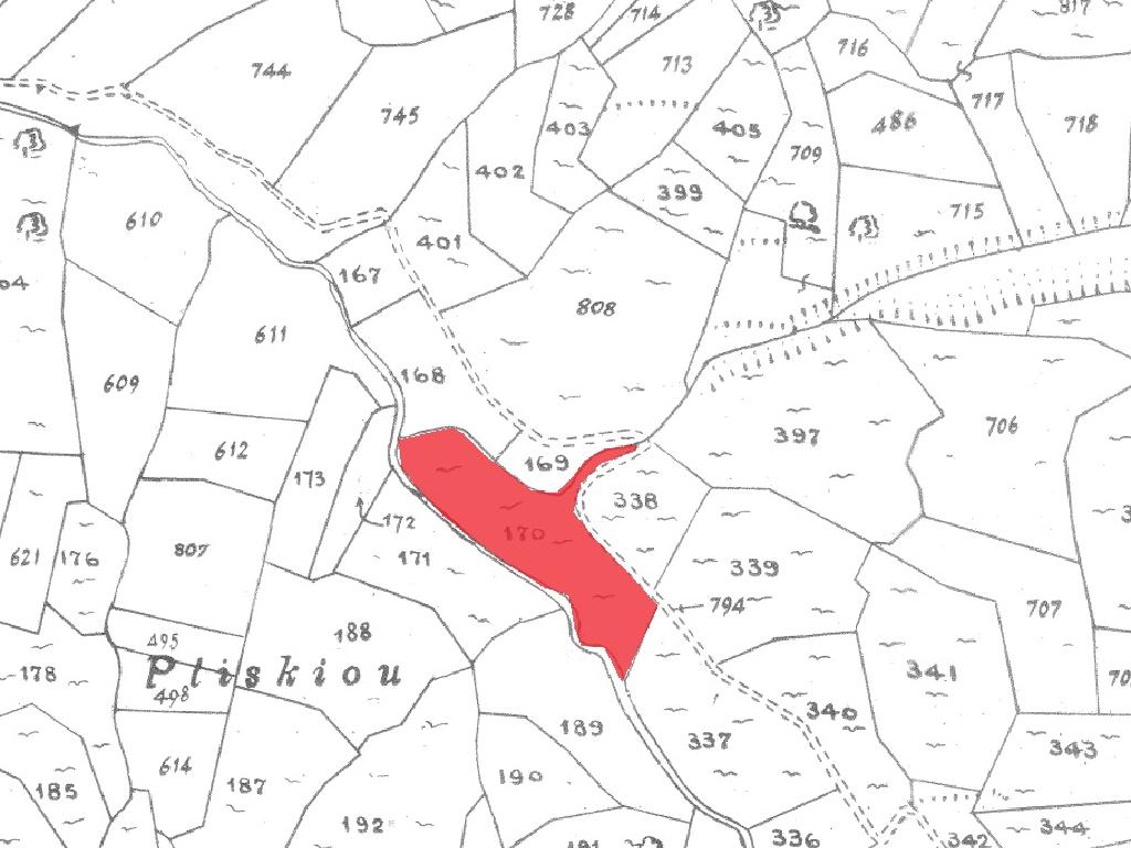 Field-Dora-PR41719