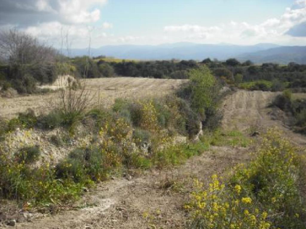 Field-Theletra-PR42264