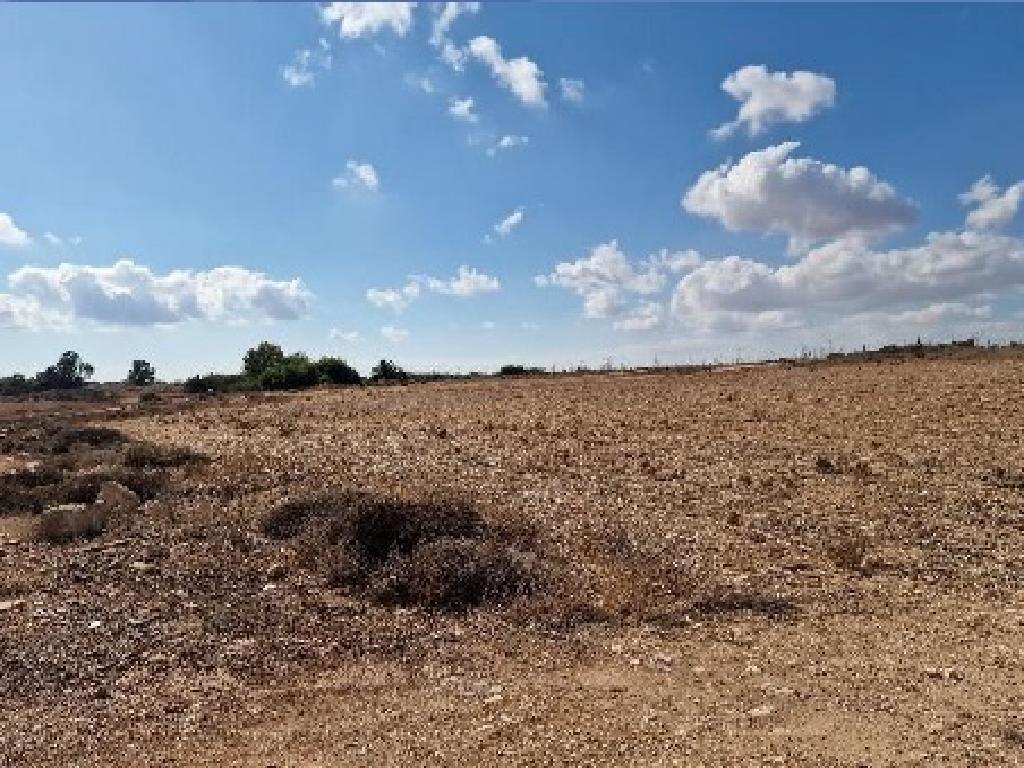 Field-Deryneia-PR42376