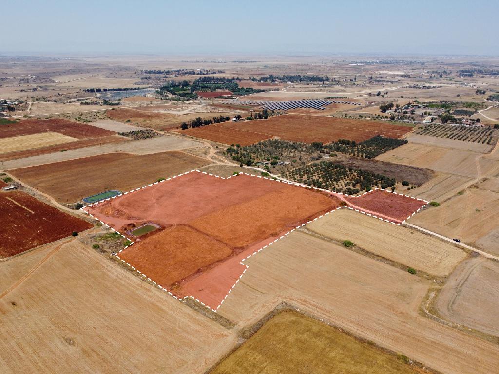 Field - Augorou, Famagusta