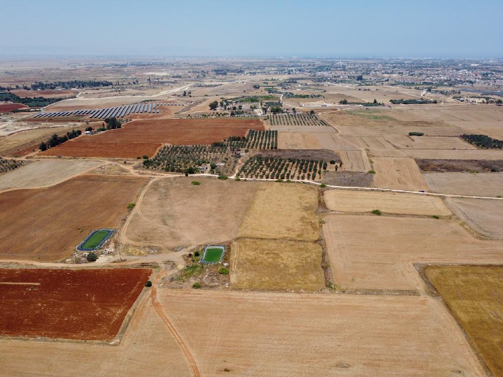 Field - Augorou, Famagusta