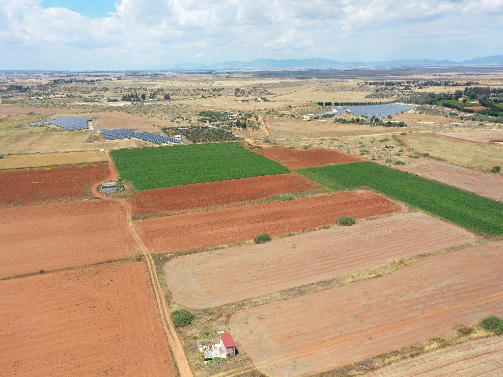 Field - Augorou, Famagusta