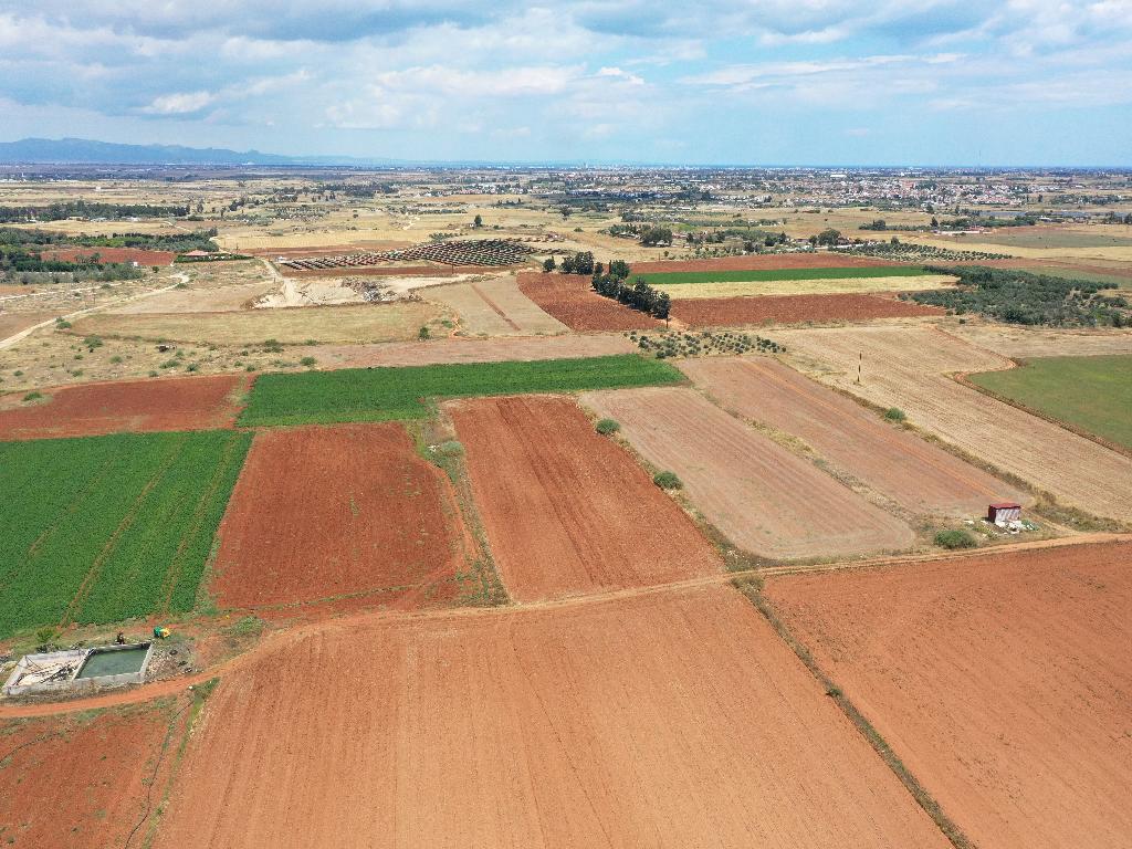 Field-Avgorou-PR42878