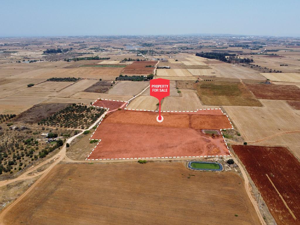 Field - Augorou, Famagusta