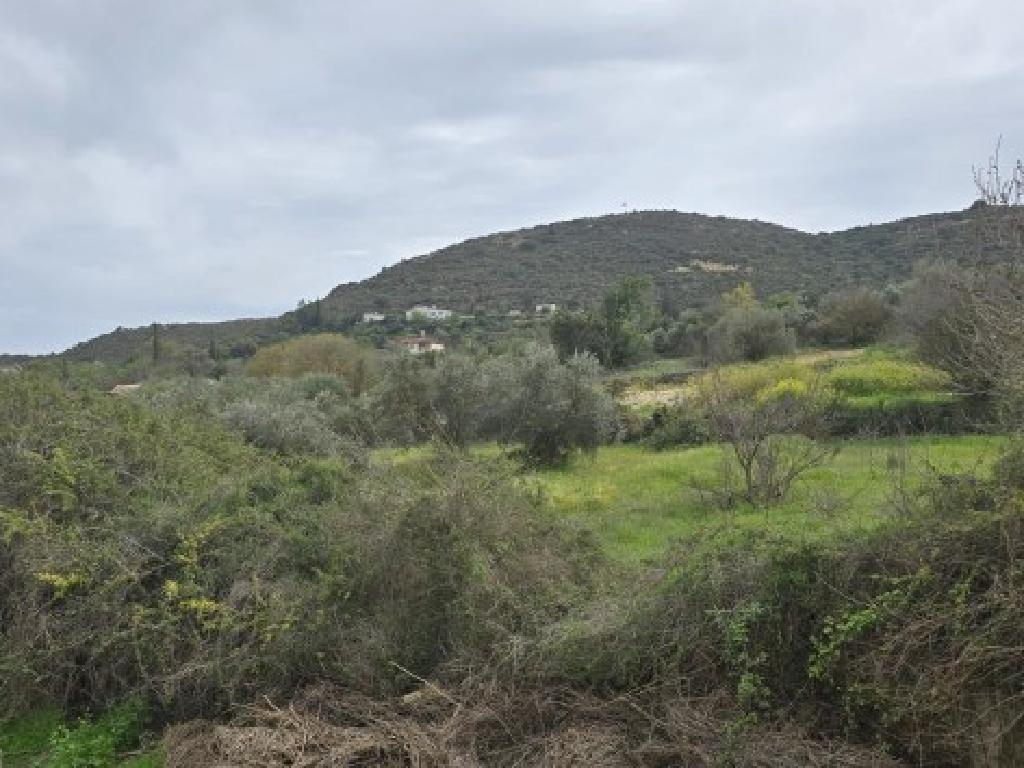 X&omega;&rho;ά&phi;&iota; (&Mu;&epsilon;&rho;ί&delta;&iota;&omicron;) - &Pi;&alpha;&rho;&alpha;&mu;ύ&theta;&alpha;, &Lambda;&epsilon;&mu;&epsilon;&sigma;ό&sigmaf;