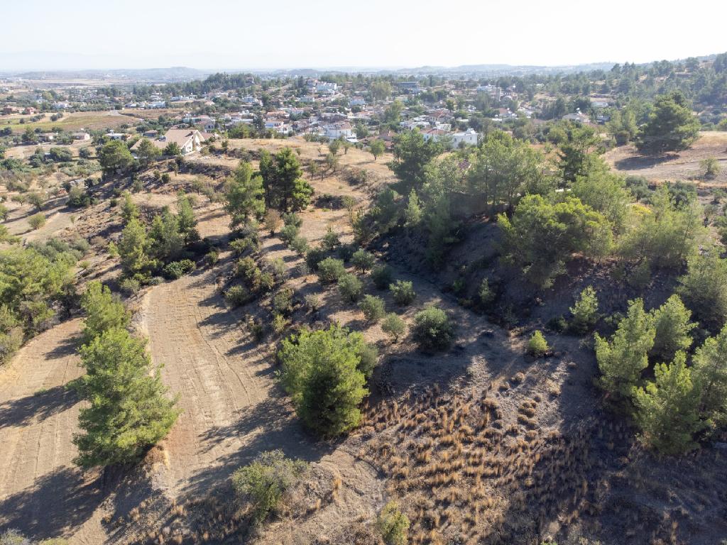 Field - Kalo Chorio Orinis, Nicosia