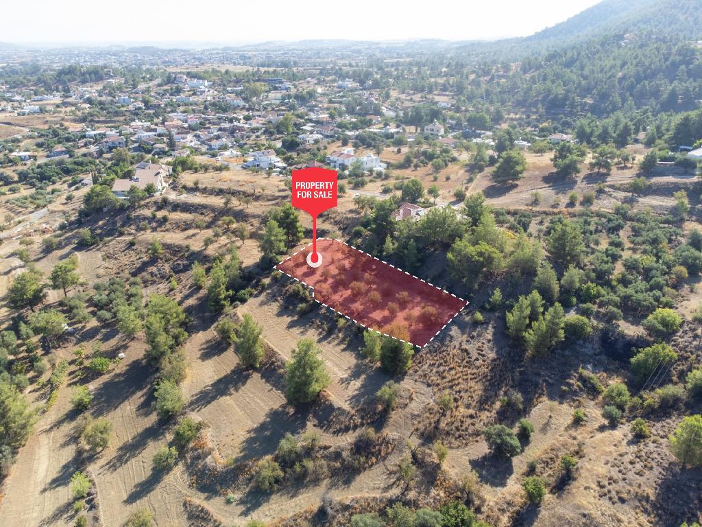 Field - Kalo Chorio Orinis, Nicosia