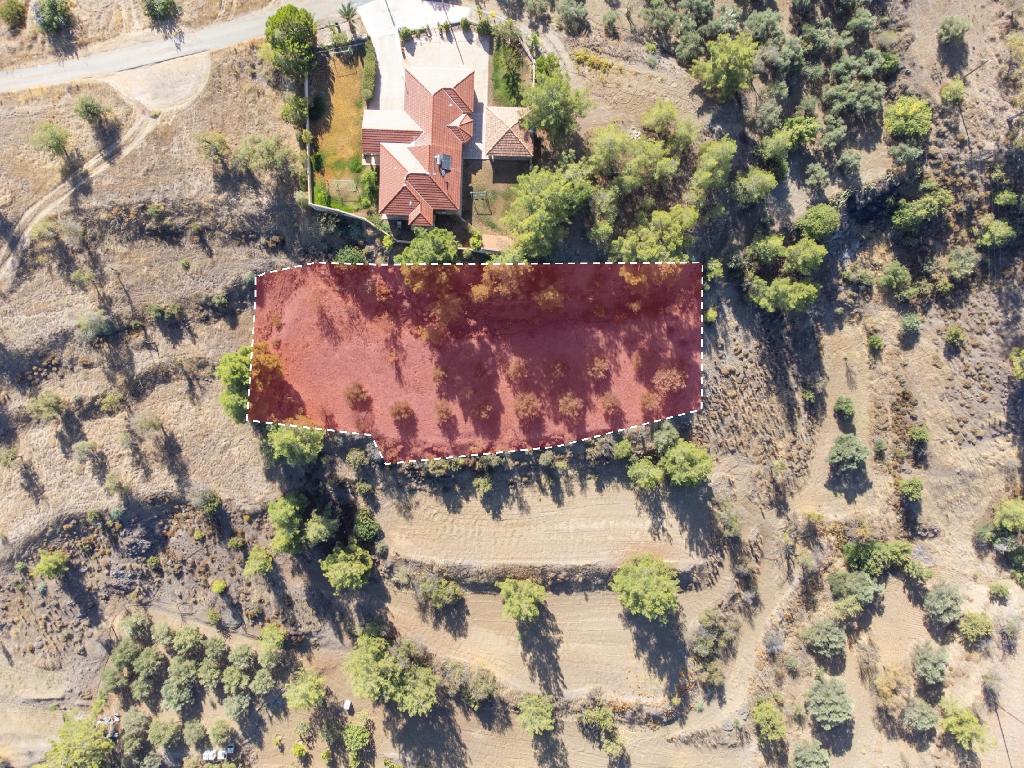 Field - Kalo Chorio Orinis, Nicosia