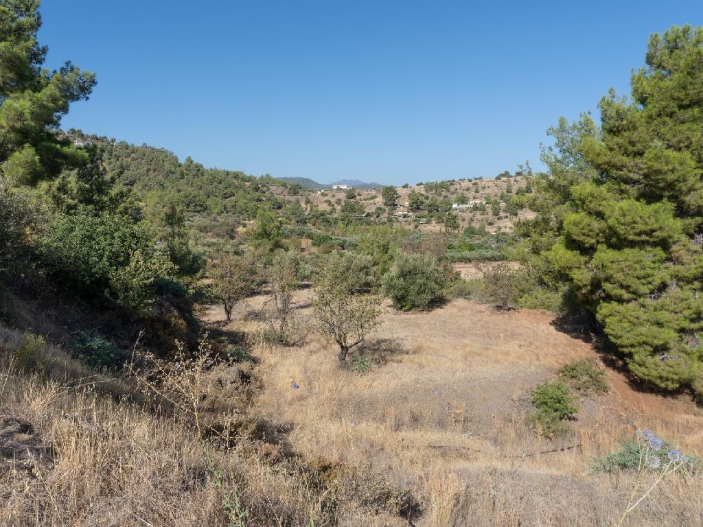 Field - Kalo Chorio Orinis, Nicosia
