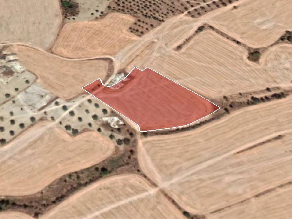Field - Pera, Nicosia