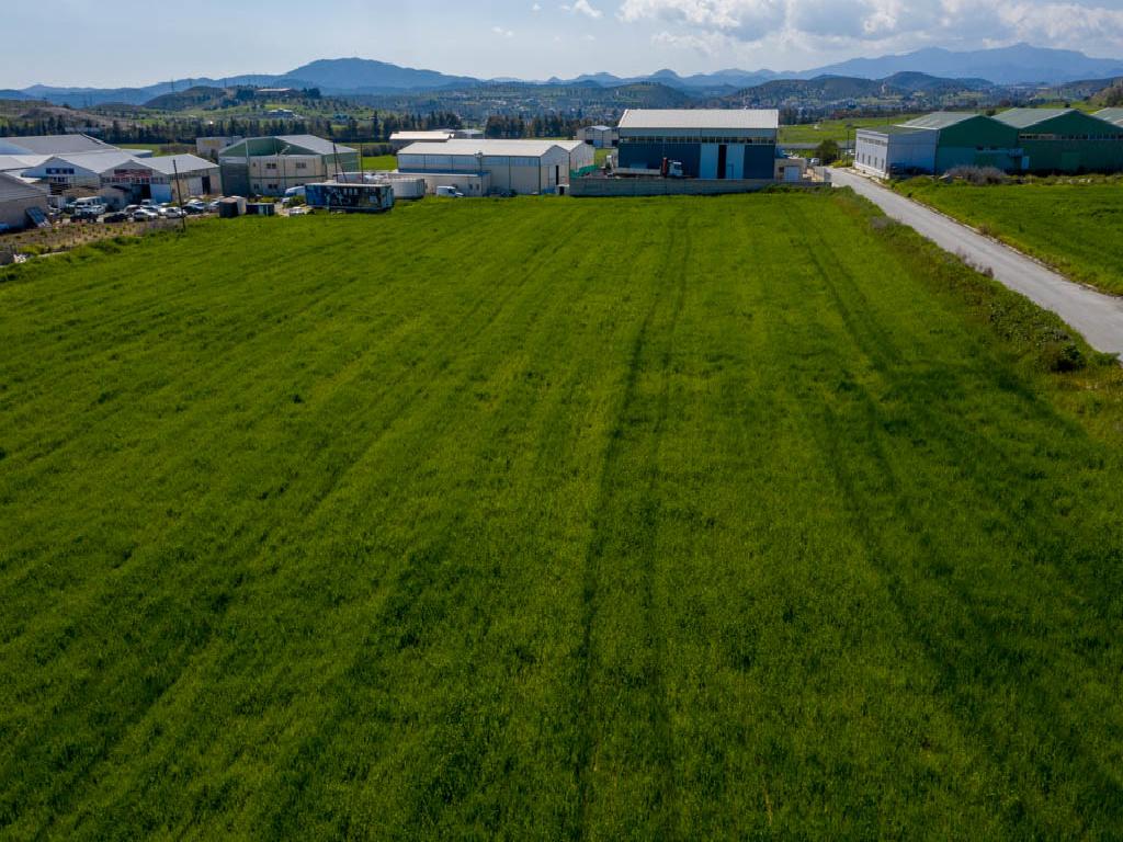 Field-Alambra-PR33140