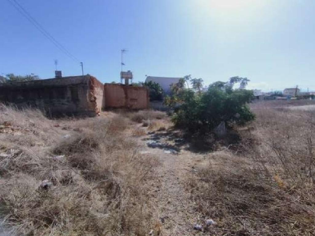 Field-Kokkinotrimithia-PR32674
