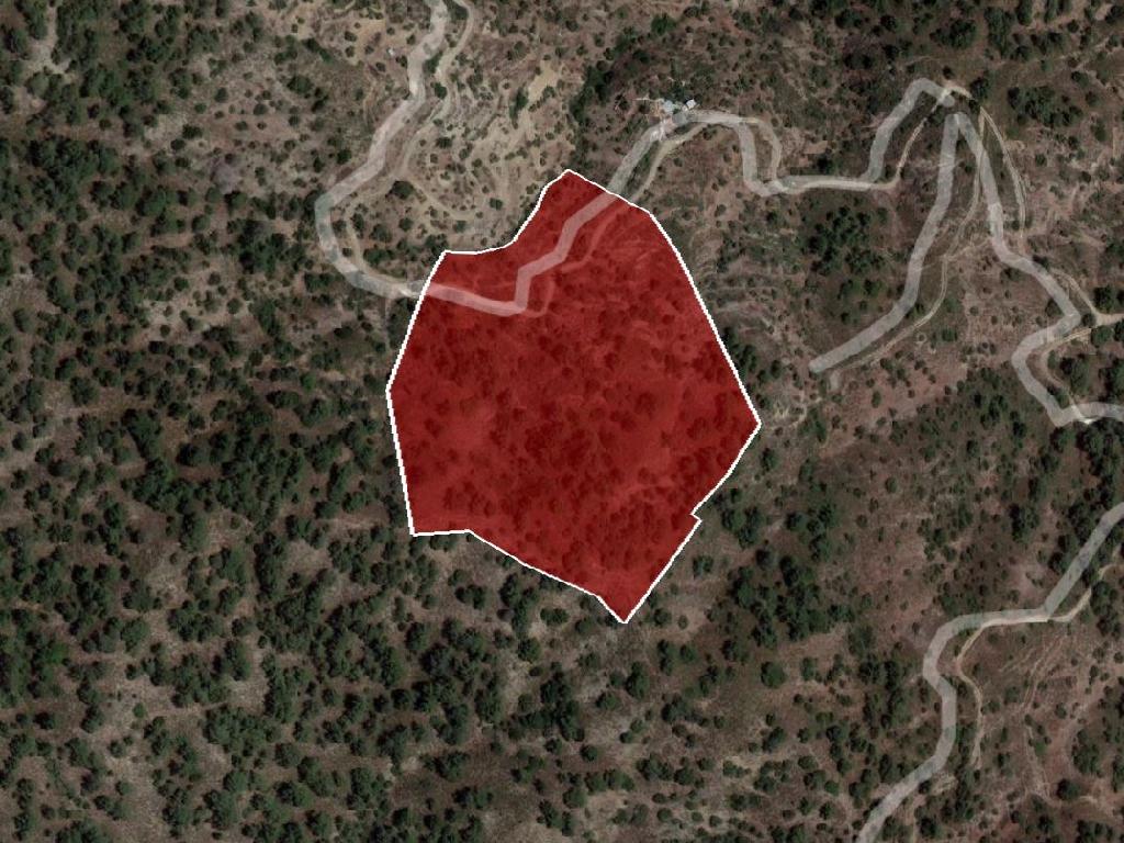 Field-Pelendri-PR35127