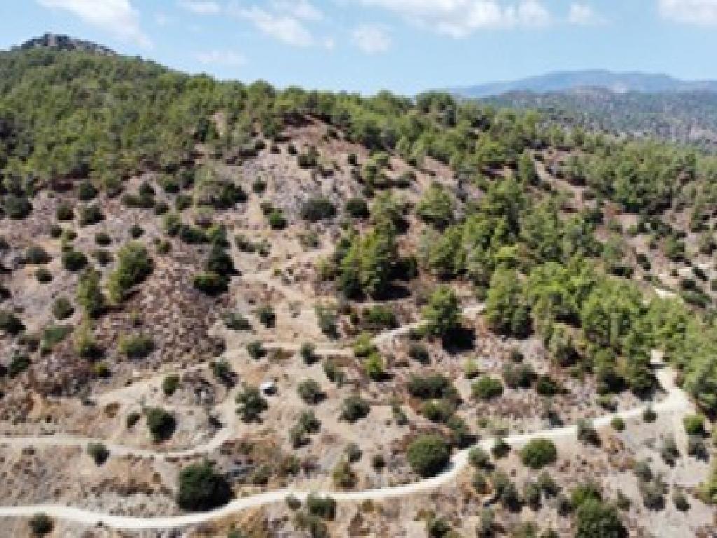 Field (Share) - Pelendri, Limassol