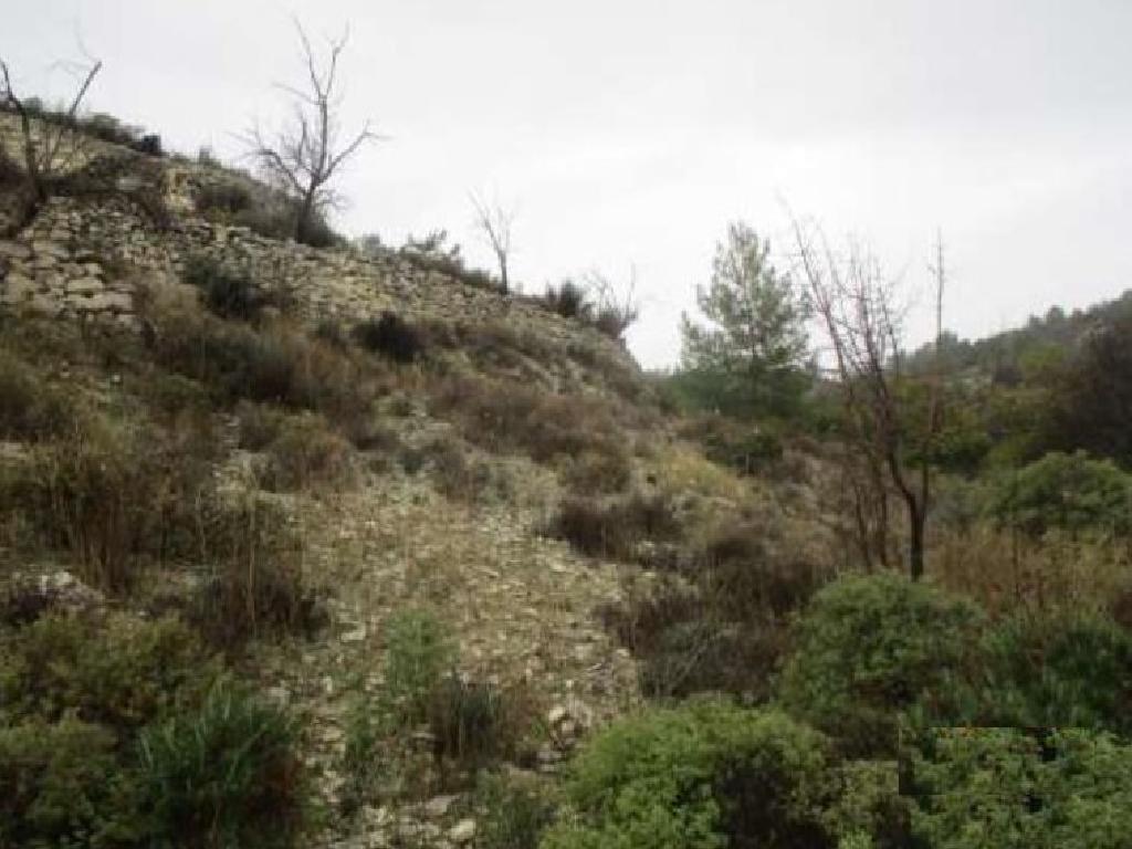 Field-Arminou-PR35496