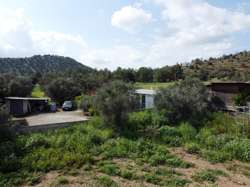 Field-Psevdas-PR36683