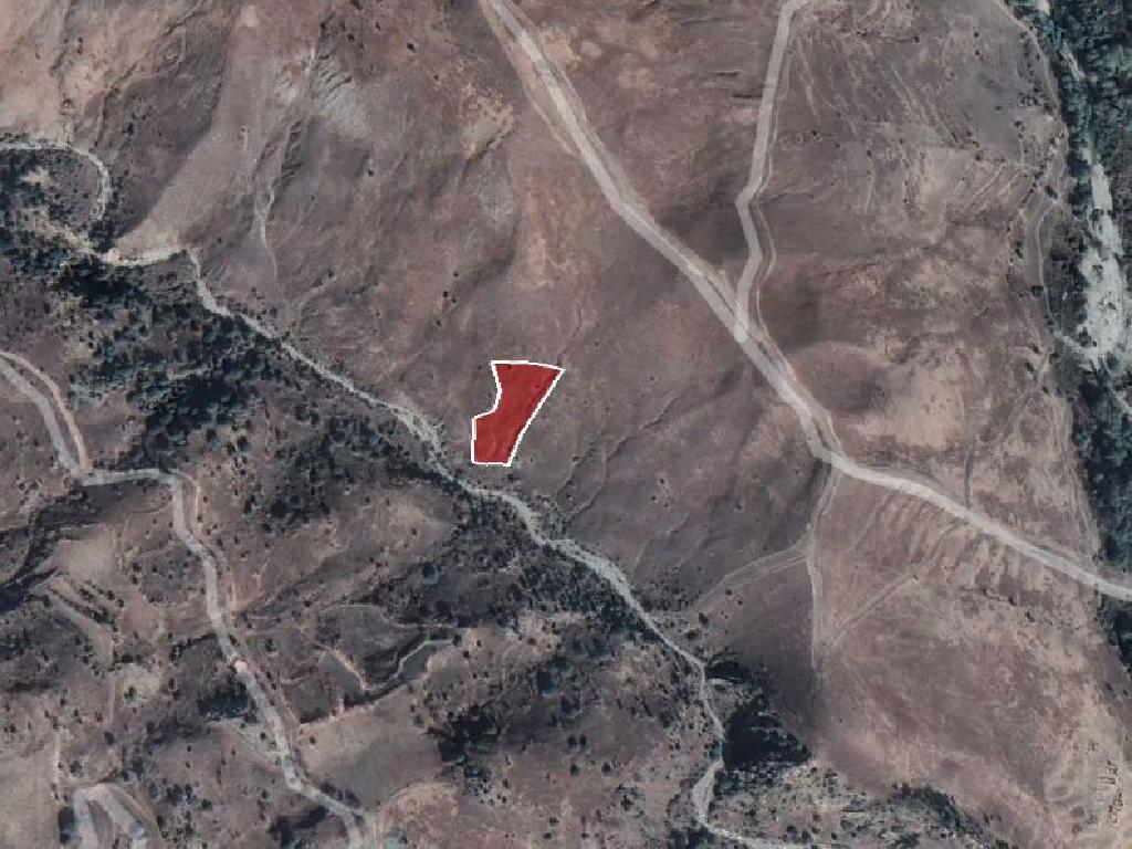 Field-Koilinia-PR37432