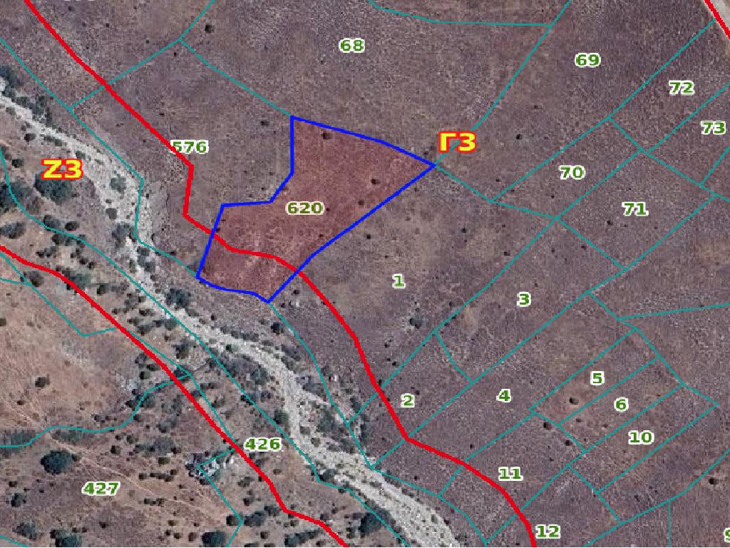 Field-Koilinia-PR37432