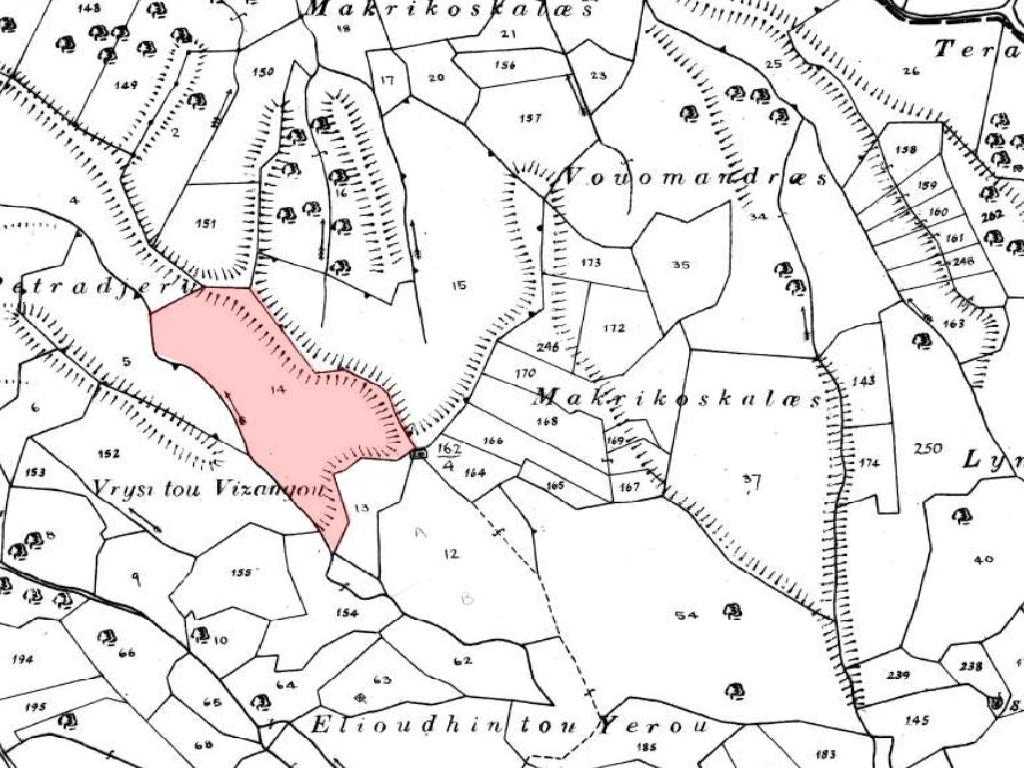 Field-Kelokedara-PR37645