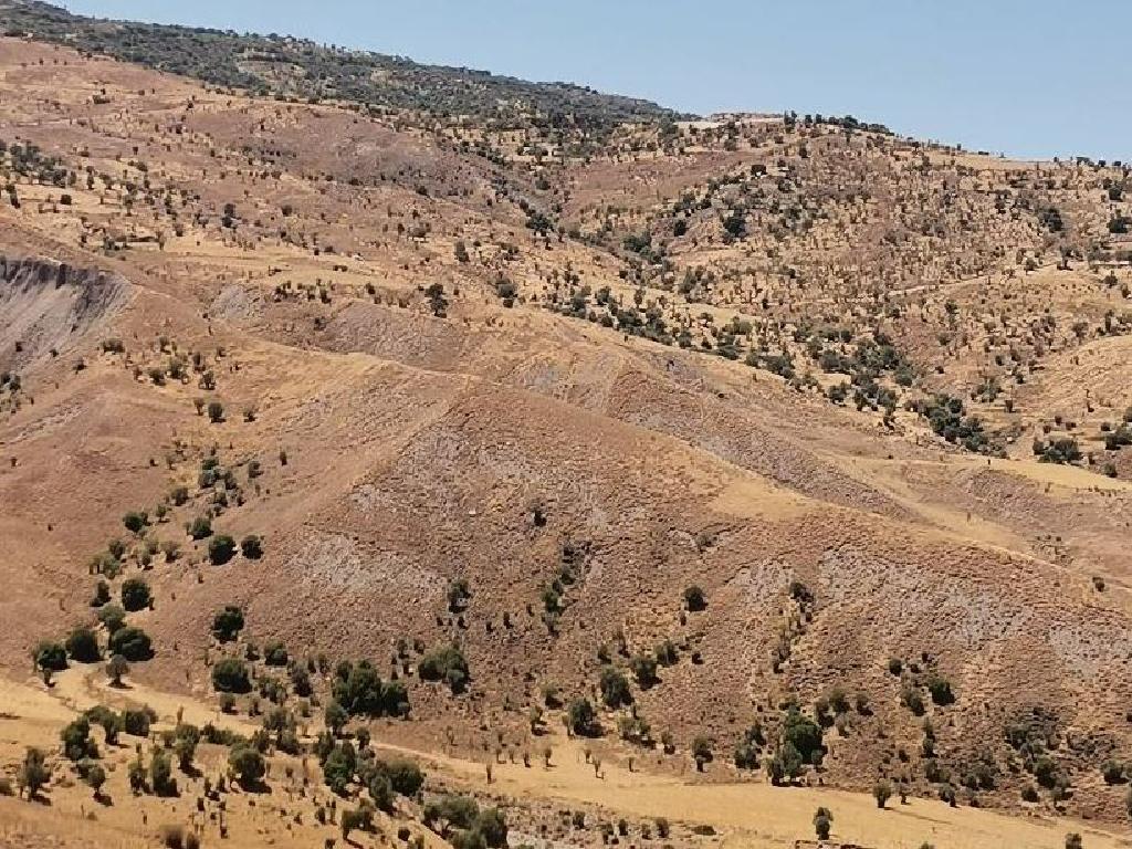 Field-Kelokedara-PR37645