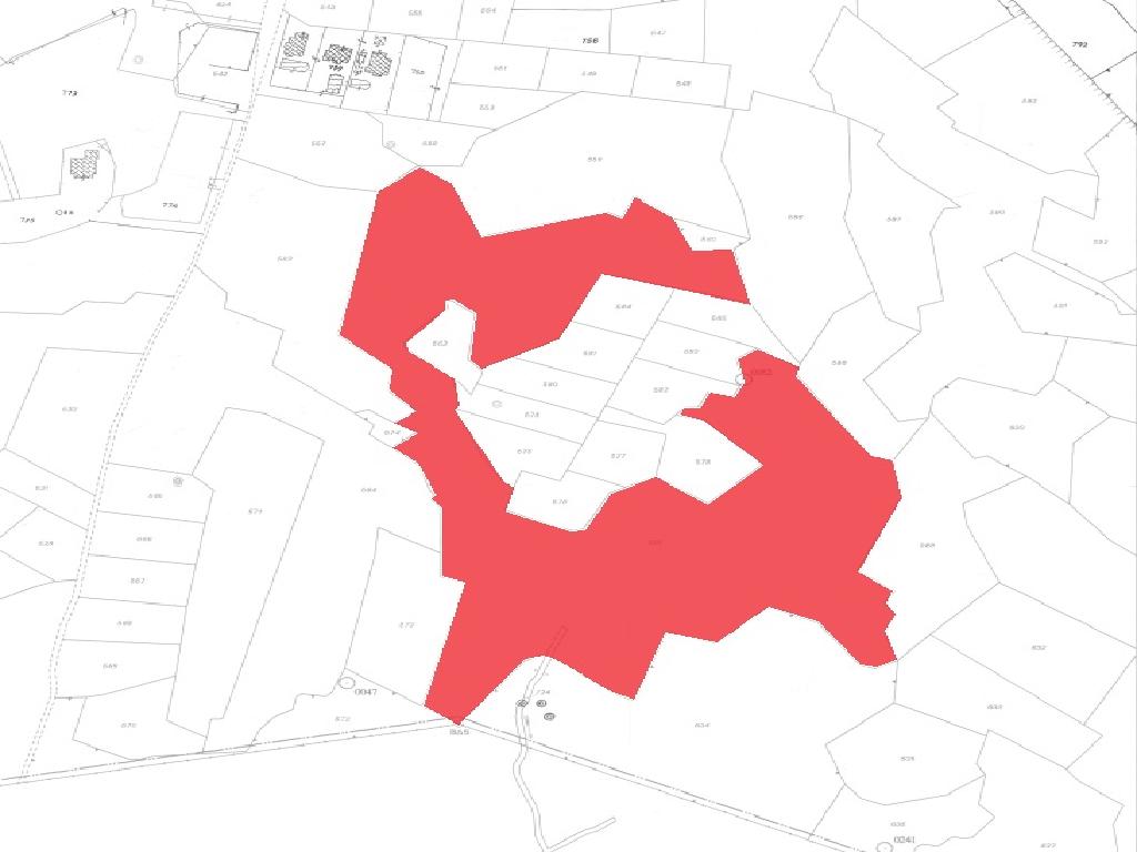 Field-Paralimni-PR40736